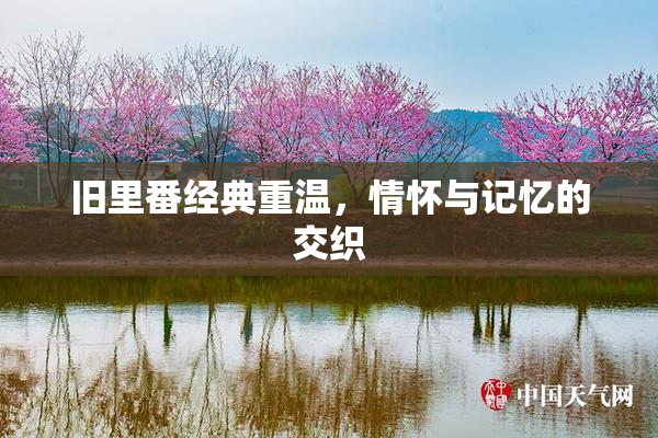 旧里番经典重温，情怀与记忆的交织