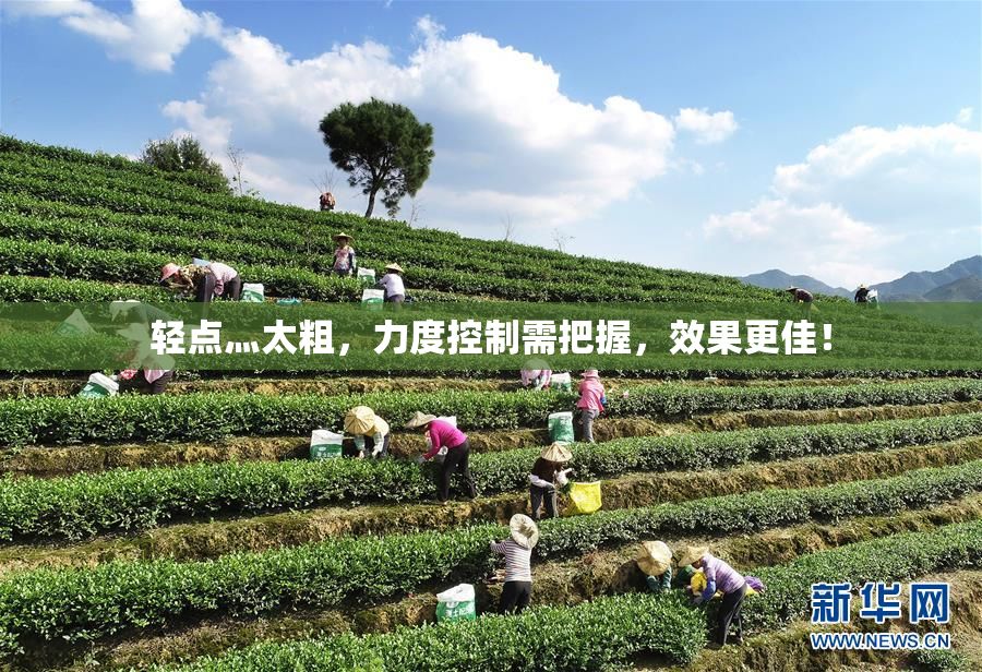 轻点灬太粗，力度控制需把握，效果更佳！