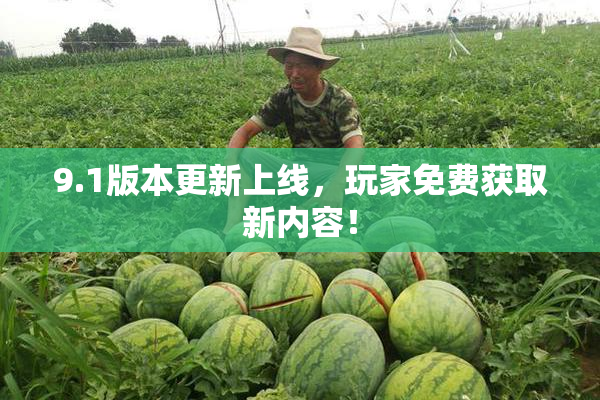 9.1版本更新上线，玩家免费获取新内容！