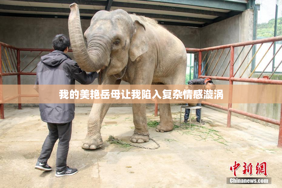 我的美艳岳母让我陷入复杂情感漩涡