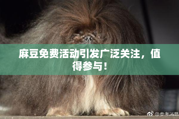 麻豆免费活动引发广泛关注，值得参与！