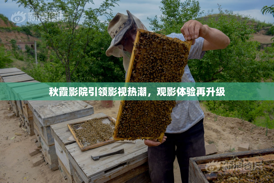 秋霞影院引领影视热潮，观影体验再升级