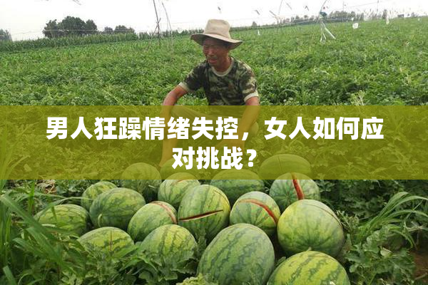 男人狂躁情绪失控，女人如何应对挑战？