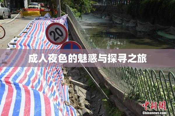 成人夜色的魅惑与探寻之旅