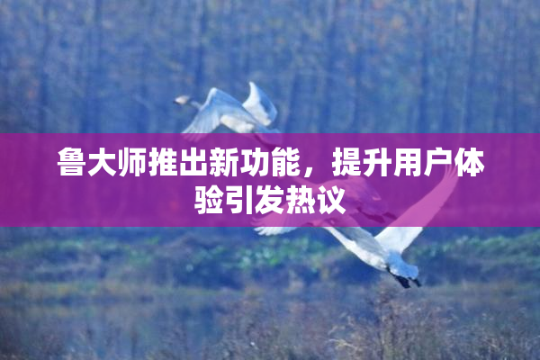 鲁大师推出新功能，提升用户体验引发热议