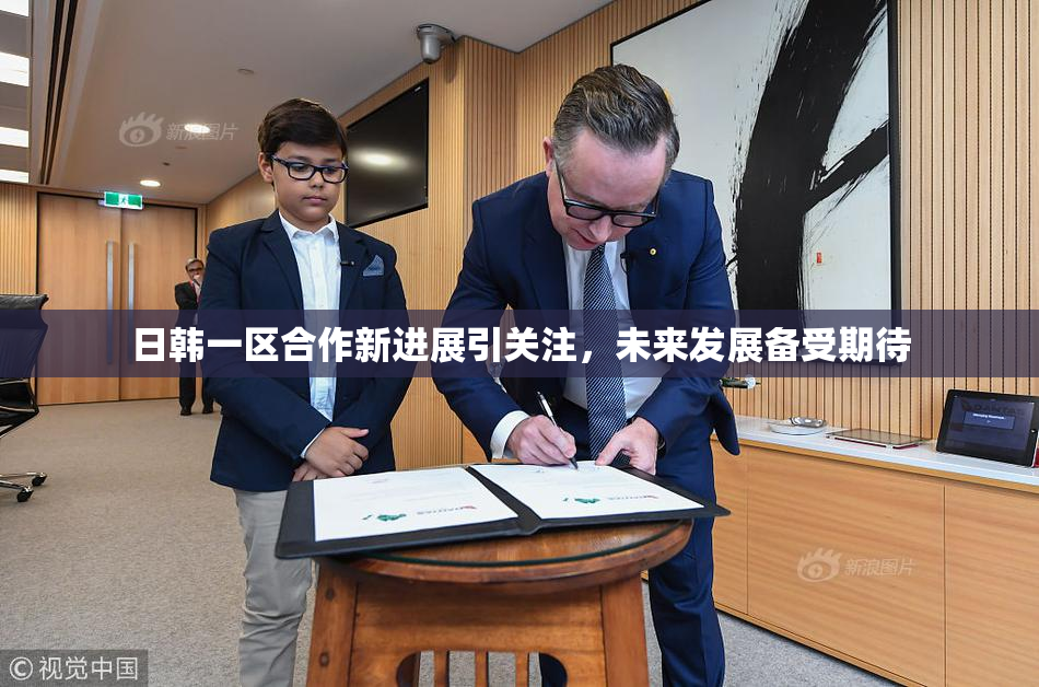 日韩一区合作新进展引关注，未来发展备受期待