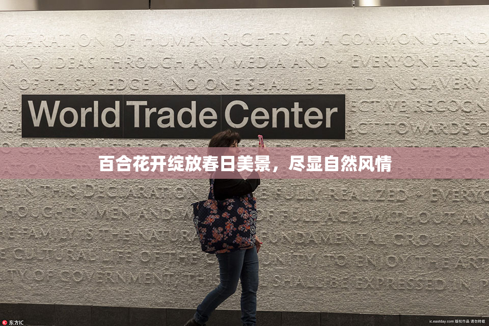 百合花开绽放春日美景，尽显自然风情