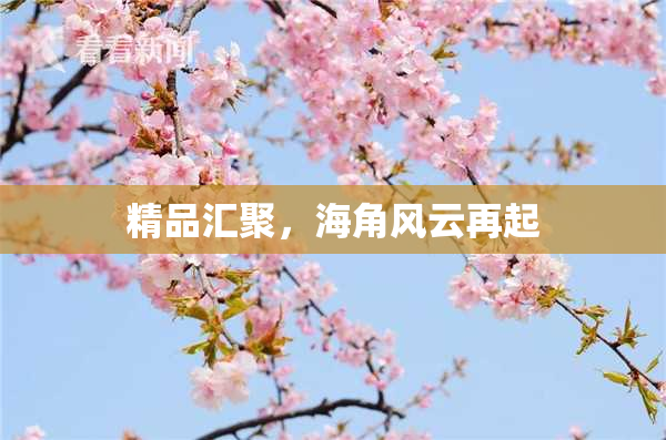 精品汇聚，海角风云再起