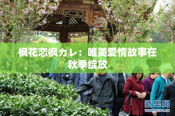 枫花恋枫カレ：唯美爱情故事在秋季绽放