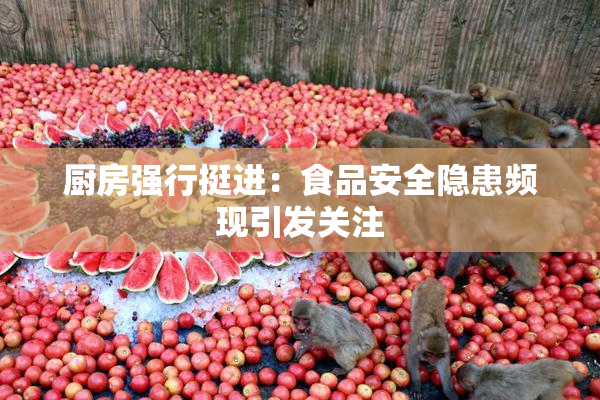 厨房强行挺进：食品安全隐患频现引发关注