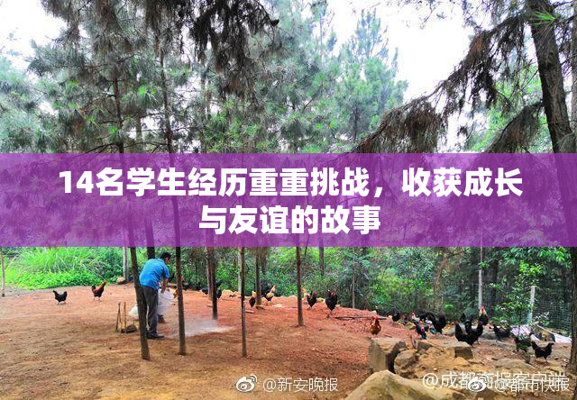 14名学生经历重重挑战，收获成长与友谊的故事