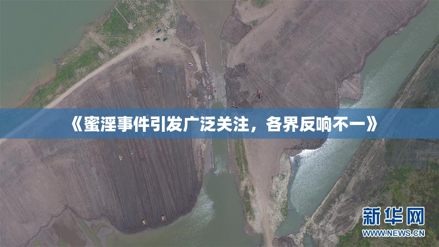 《蜜淫事件引发广泛关注，各界反响不一》