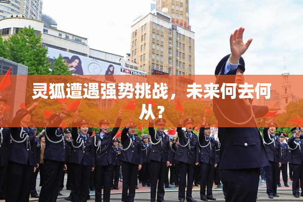 灵狐遭遇强势挑战，未来何去何从？