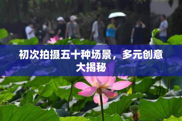 初次拍摄五十种场景，多元创意大揭秘