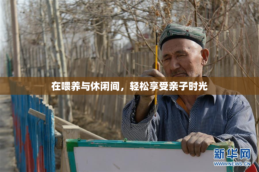 在喂养与休闲间，轻松享受亲子时光