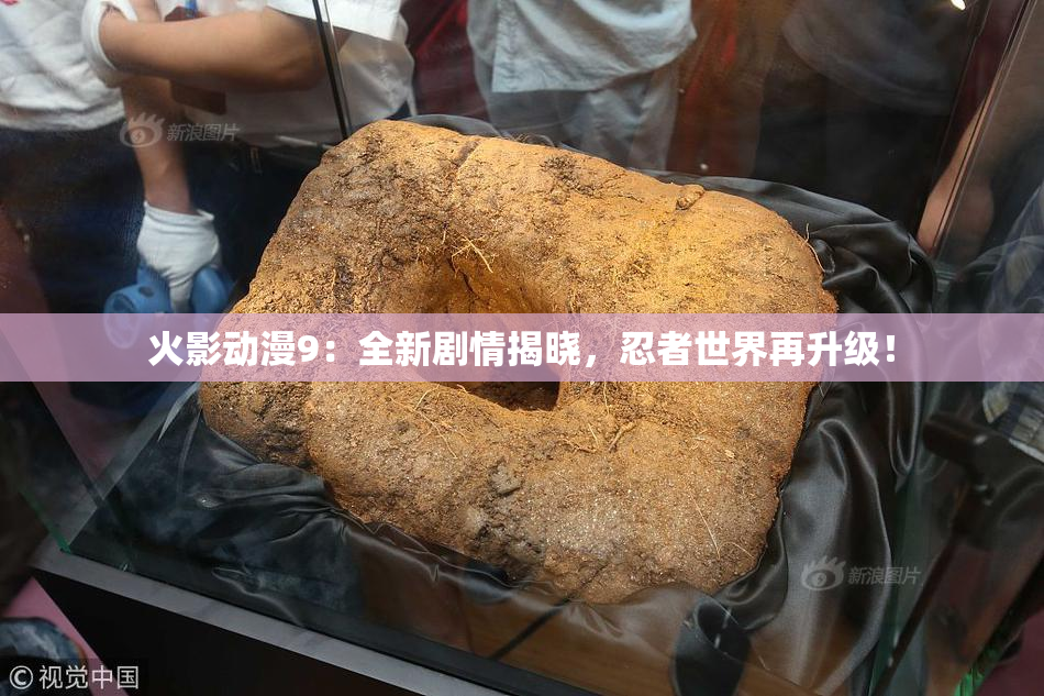 火影动漫9：全新剧情揭晓，忍者世界再升级！
