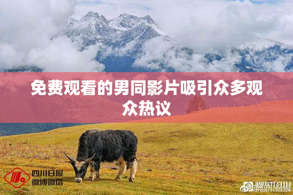 免费观看的男同影片吸引众多观众热议
