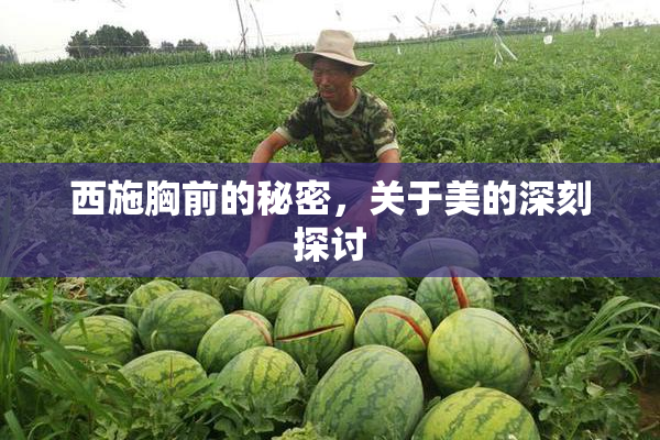 西施胸前的秘密，关于美的深刻探讨
