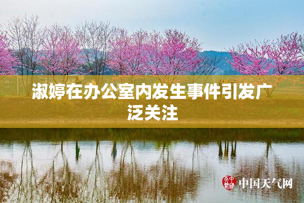 淑婷在办公室内发生事件引发广泛关注