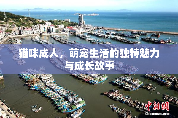 猫咪成人，萌宠生活的独特魅力与成长故事