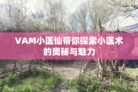 VAM小医仙带你探索小医术的奥秘与魅力