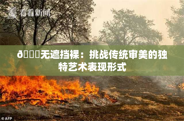 🔞无遮挡裸：挑战传统审美的独特艺术表现形式