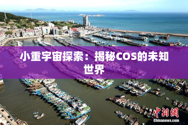 小重宇宙探索：揭秘COS的未知世界