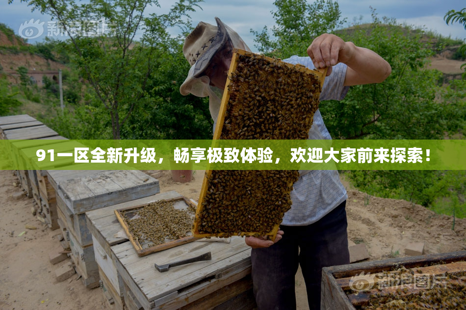 91一区全新升级，畅享极致体验，欢迎大家前来探索！