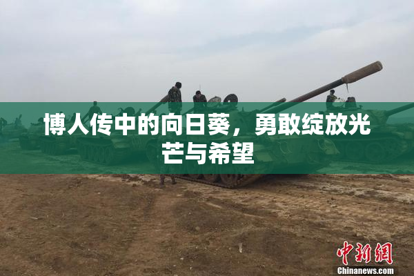 博人传中的向日葵，勇敢绽放光芒与希望