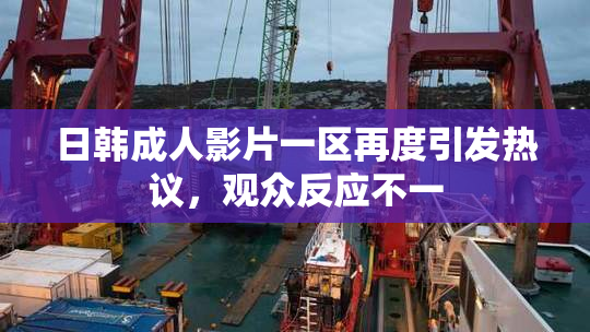 日韩成人影片一区再度引发热议，观众反应不一