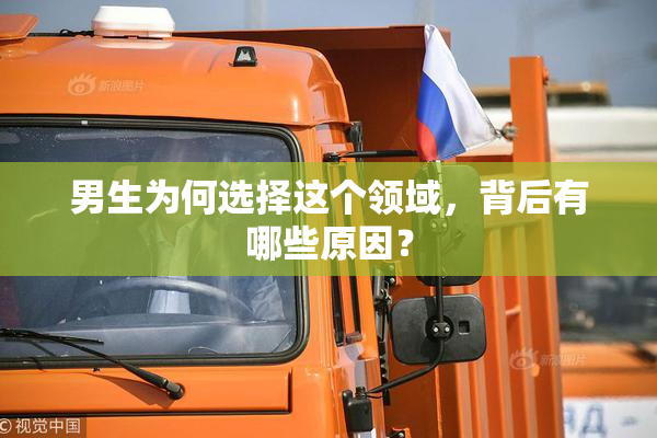 男生为何选择这个领域，背后有哪些原因？