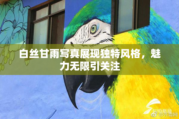 白丝甘雨写真展现独特风格，魅力无限引关注