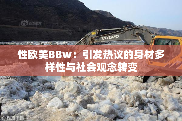 性欧美BBw：引发热议的身材多样性与社会观念转变