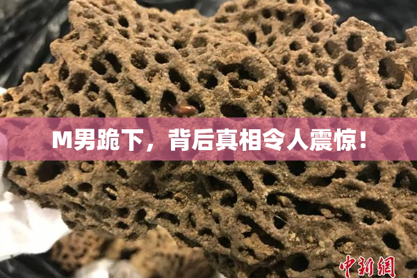 M男跪下，背后真相令人震惊！