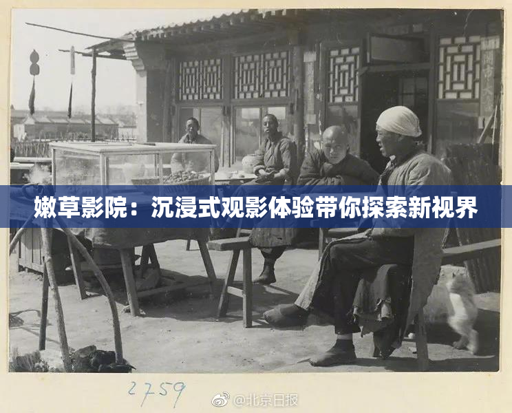嫩草影院：沉浸式观影体验带你探索新视界
