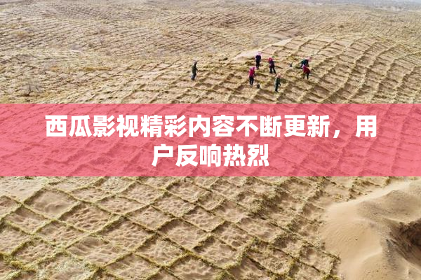 西瓜影视精彩内容不断更新，用户反响热烈