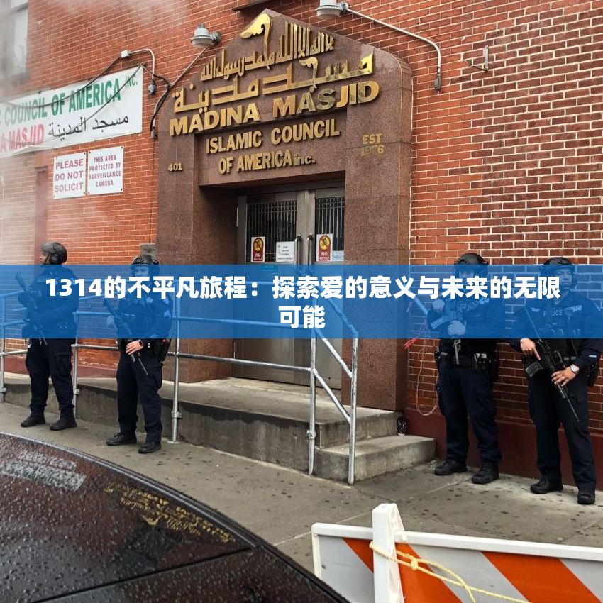 1314的不平凡旅程：探索爱的意义与未来的无限可能