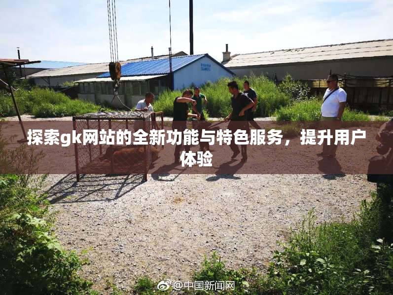 探索gk网站的全新功能与特色服务，提升用户体验