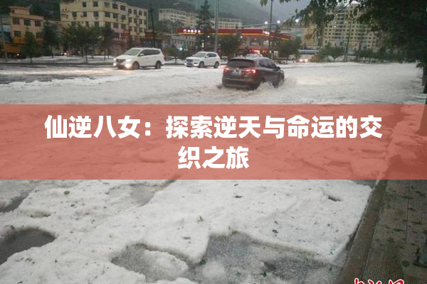仙逆八女：探索逆天与命运的交织之旅