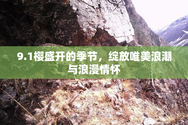 9.1樱盛开的季节，绽放唯美浪潮与浪漫情怀