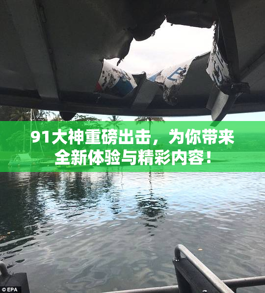91大神重磅出击，为你带来全新体验与精彩内容！