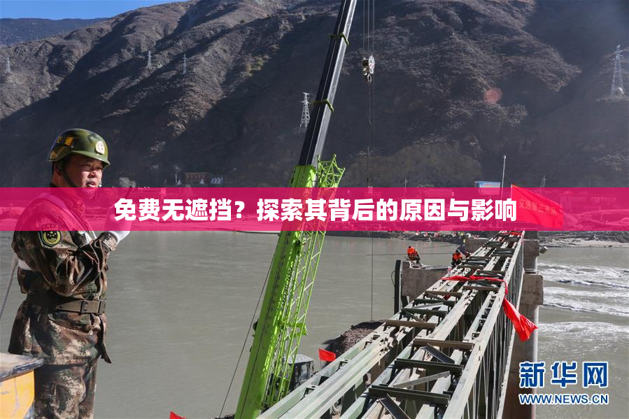 免费无遮挡？探索其背后的原因与影响