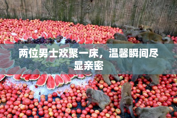 两位男士欢聚一床，温馨瞬间尽显亲密