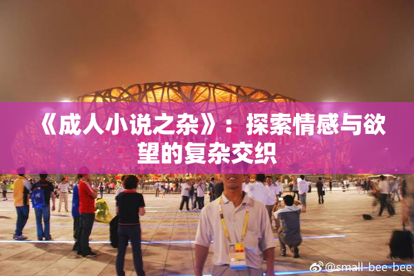 《成人小说之杂》：探索情感与欲望的复杂交织