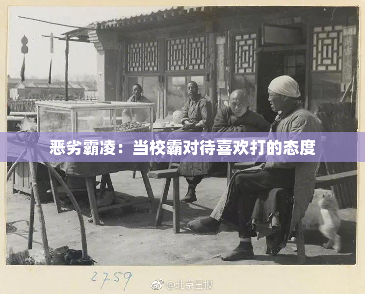 恶劣霸凌：当校霸对待喜欢打的态度