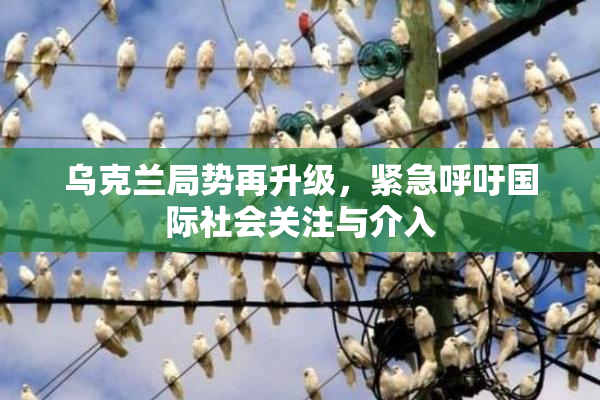 乌克兰局势再升级，紧急呼吁国际社会关注与介入