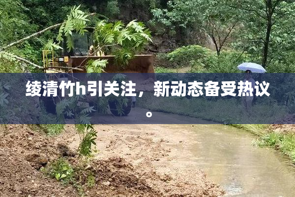 绫清竹h引关注，新动态备受热议。