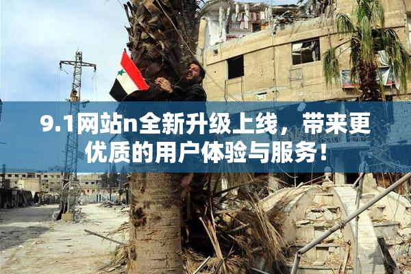 9.1网站n全新升级上线，带来更优质的用户体验与服务！