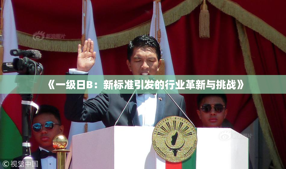 《一级日B：新标准引发的行业革新与挑战》