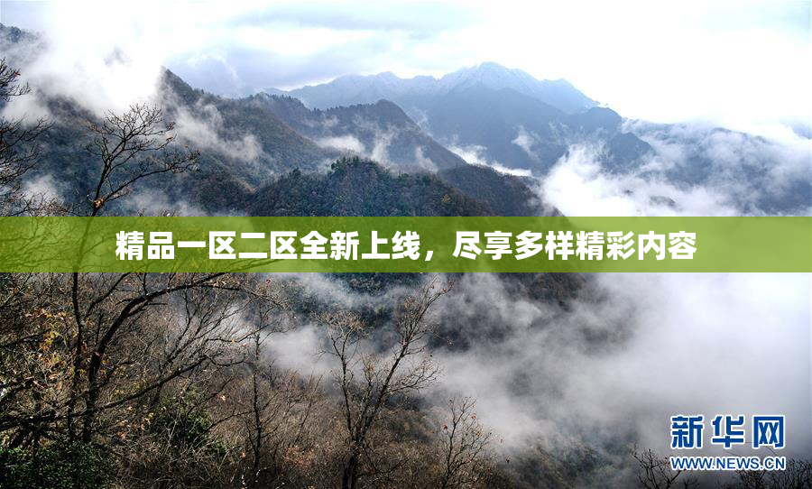 精品一区二区全新上线，尽享多样精彩内容